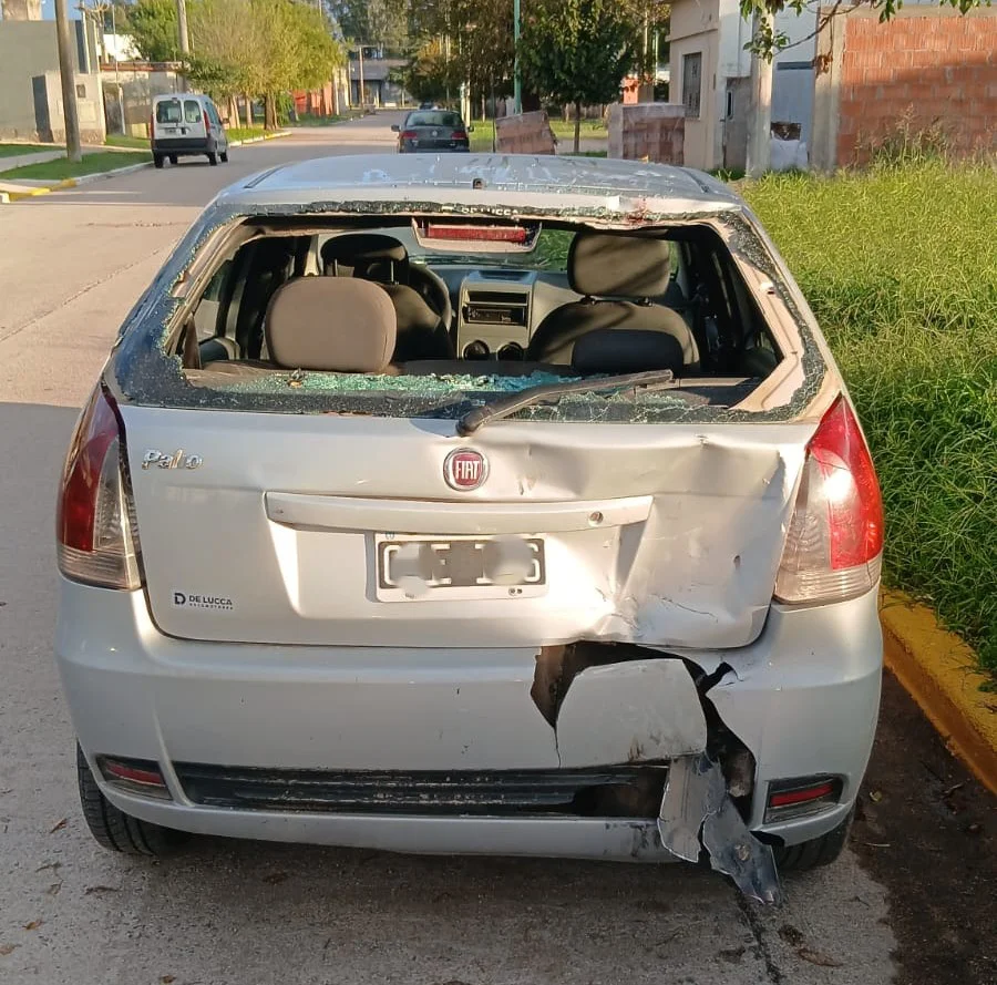 WhatsApp Image 2026-04-03 at 08.50.03