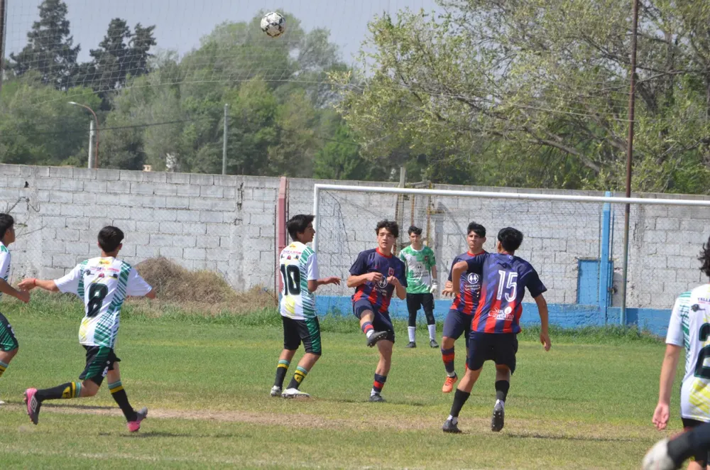 WhatsApp Image 2024-09-23 at 16.31.14 (17)