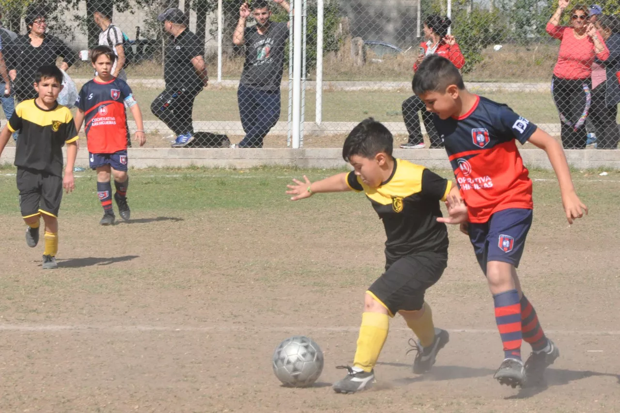 Centro Social Las Higueras Correos y Telecomunicaciones Deportivo Municipal Adela María (73)