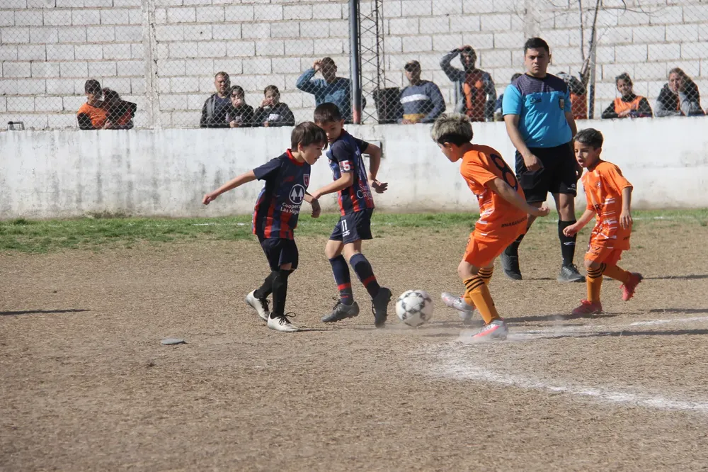 Centro Social Infanto Juvenil Renato Cesarini Olaeta Socialeritas (42)