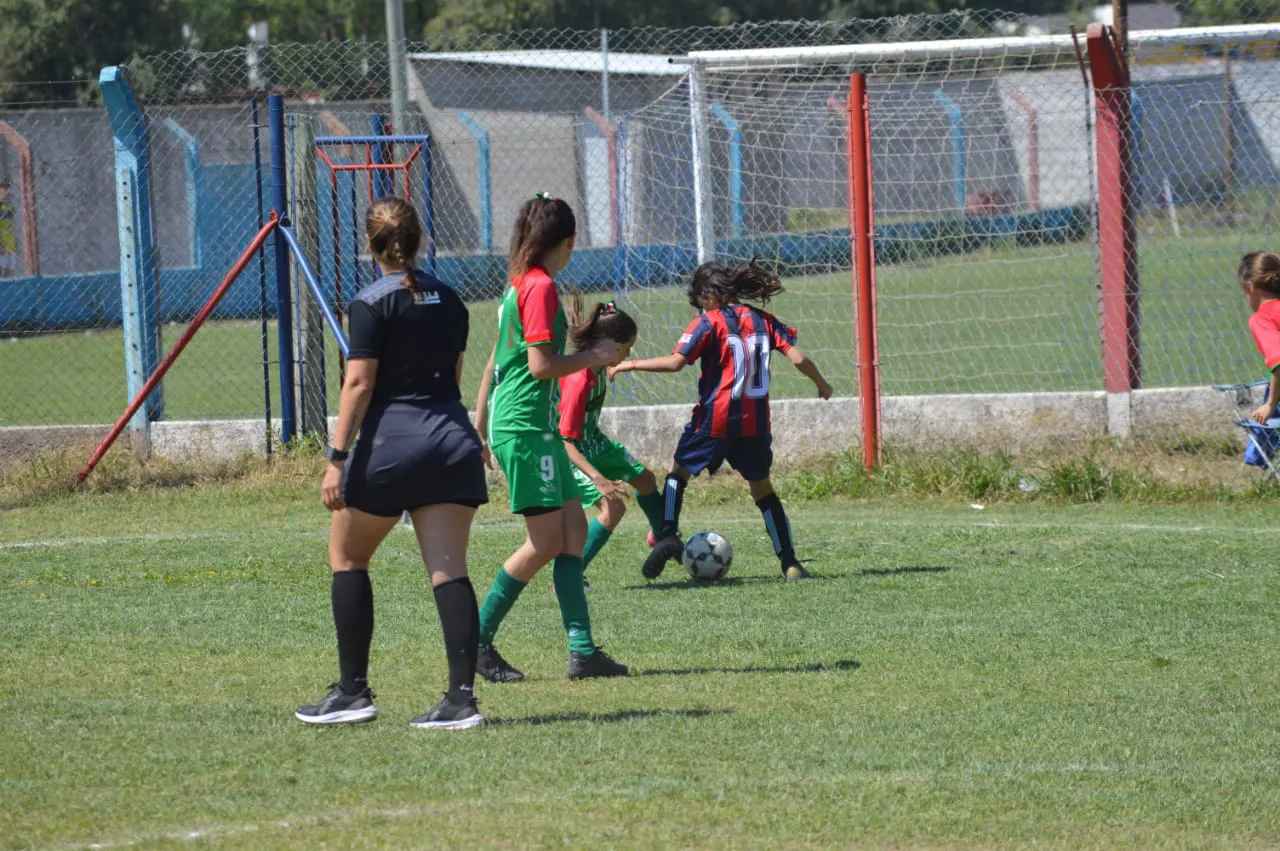 WhatsApp Image 2024-09-28 at 14.26.46