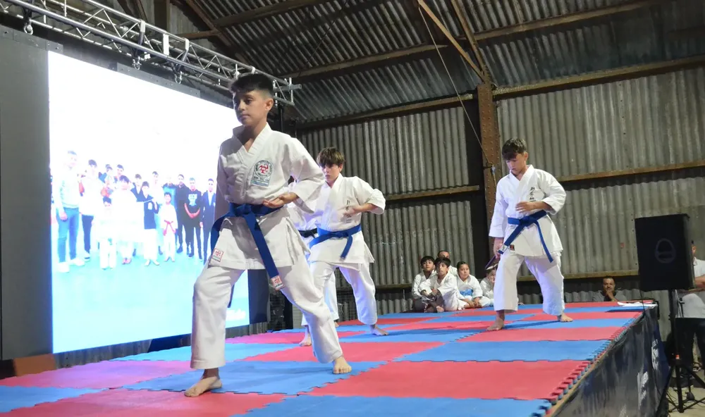 TALLERES CULTURALES 2025 (77)
