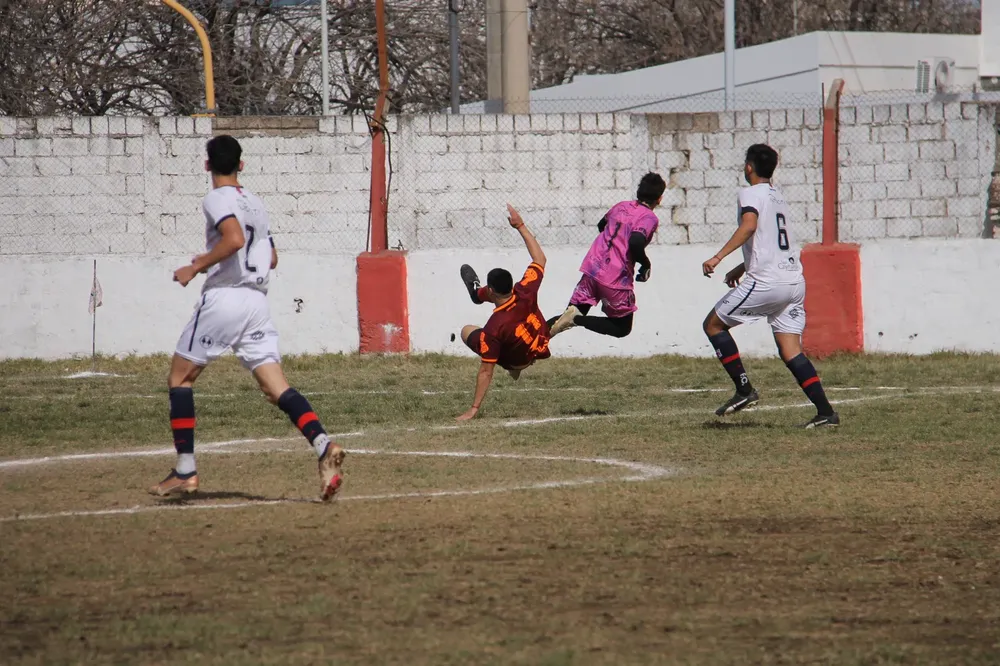 Municipal Centro Social  (7)