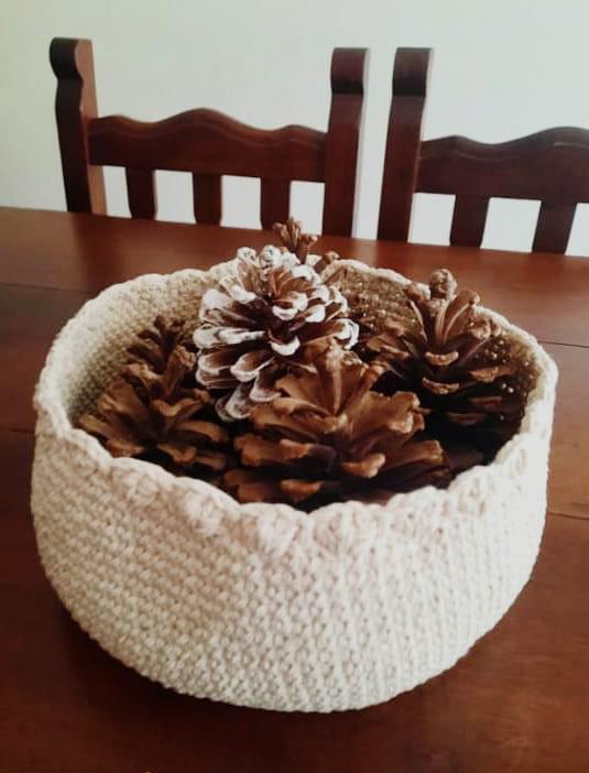 PETUNIAS EN CASA