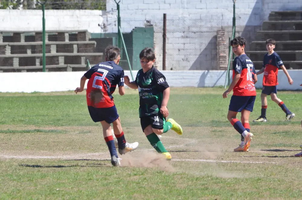 WhatsApp Image 2024-09-16 at 20.49.14 (4)