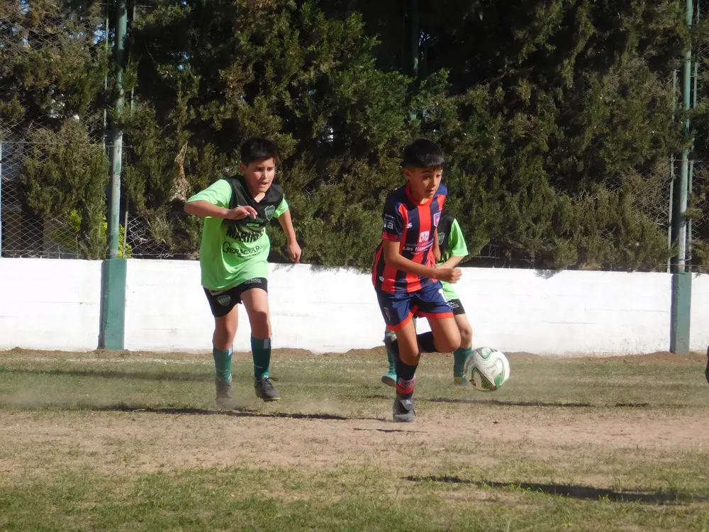 WhatsApp Image 2024-10-28 at 20.13.47