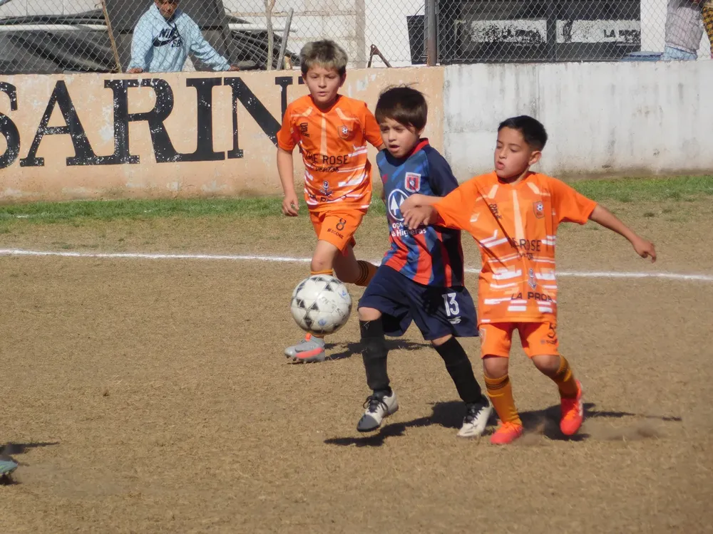 Centro Social Infanto Juvenil Renato Cesarini Olaeta Socialeritas (218)