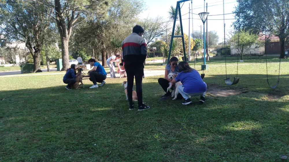 VACUNACIÓN ANTIRRÁBICA (8)