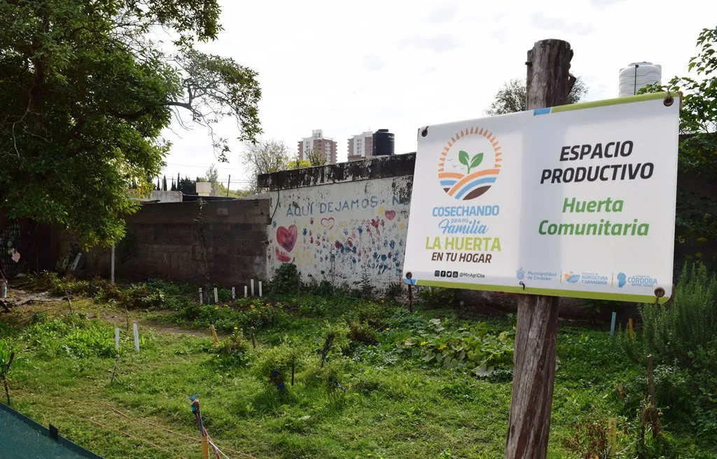 huerta comunitaria (3)