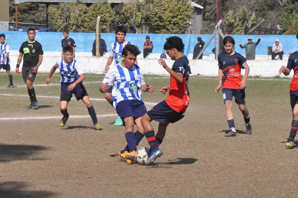 Centro Social Infanto Juvenil Renato Cesarini Olaeta Socialeritas (286)