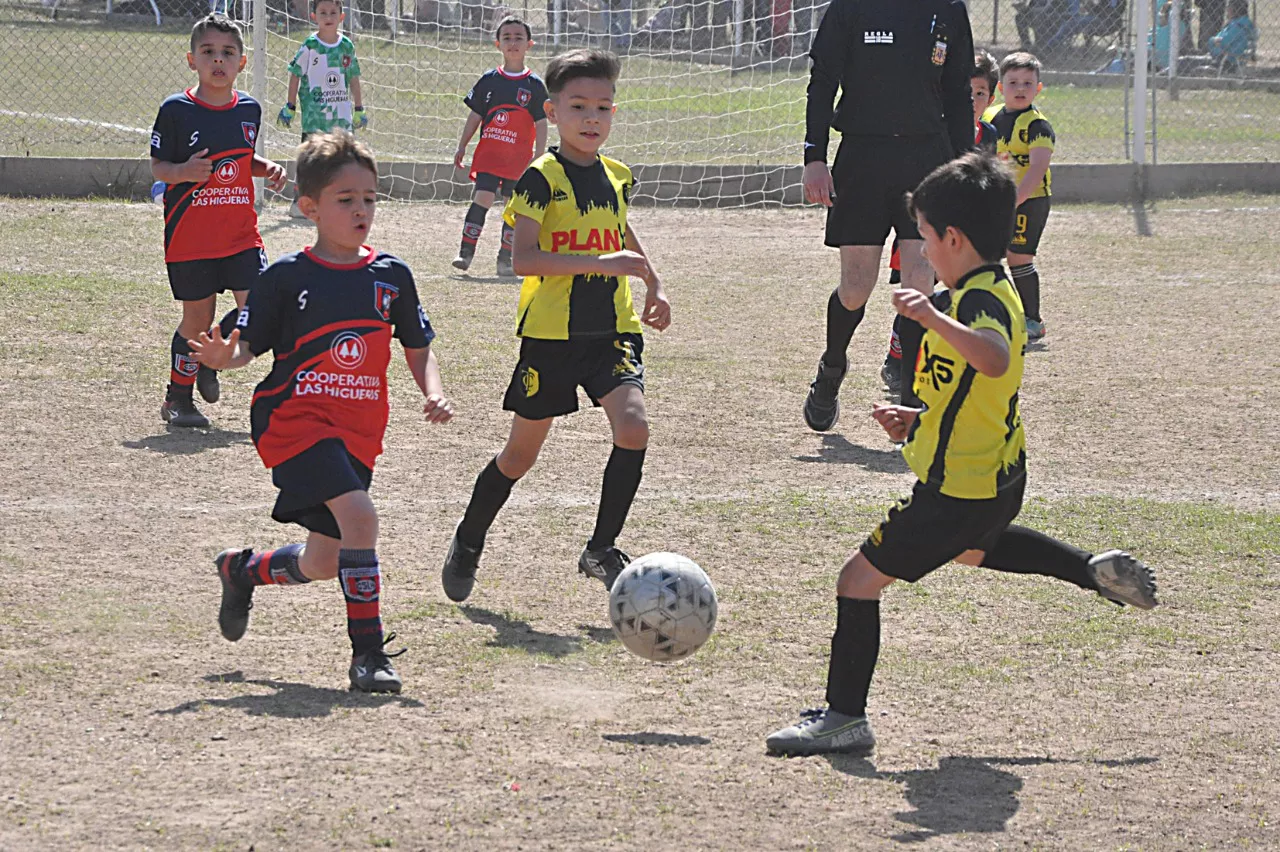 Centro Social Las Higueras Correos y Telecomunicaciones Deportivo Municipal Adela María (56)
