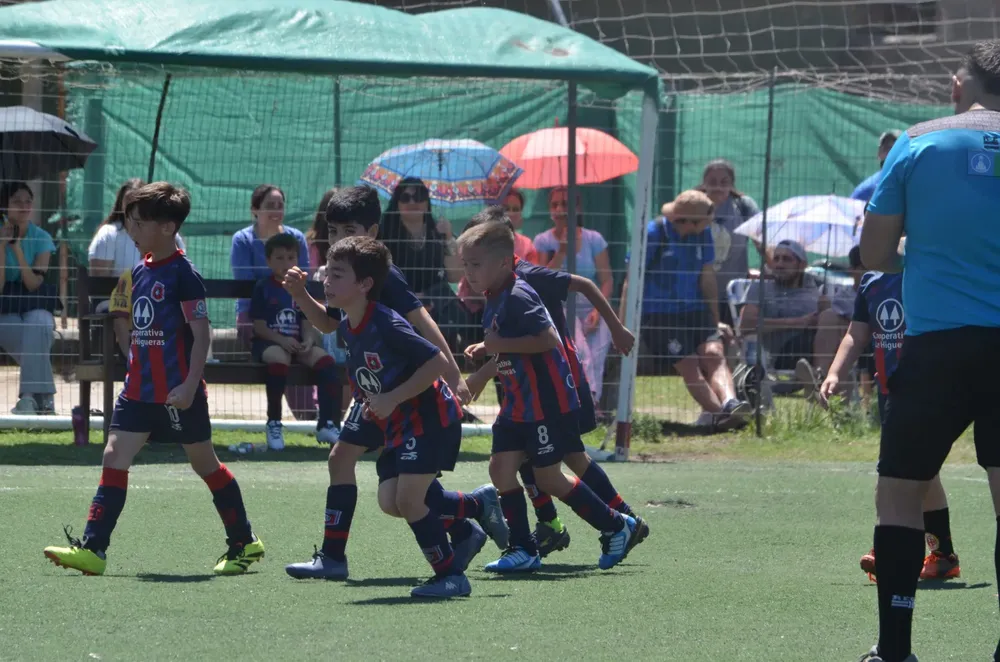 WhatsApp Image 2024-10-28 at 18.43.26 (2)