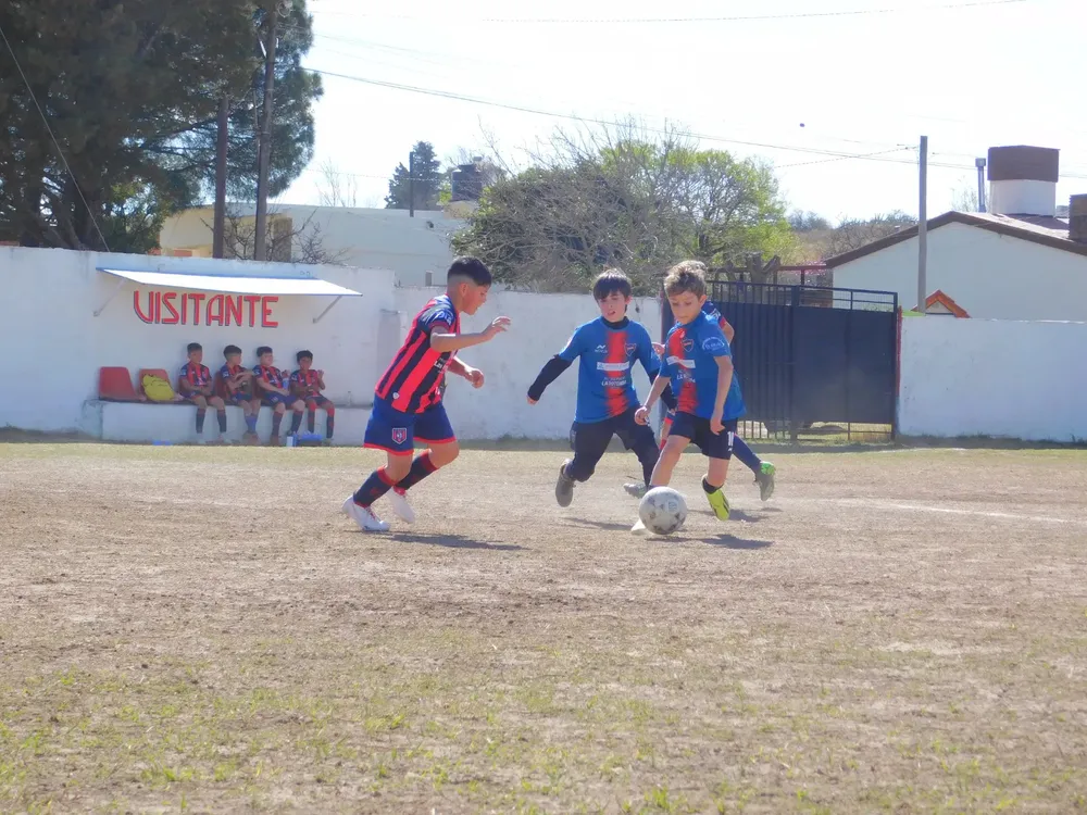 WhatsApp Image 2024-09-16 at 21.42.02 (1)