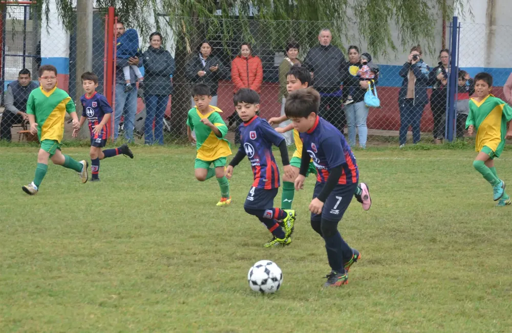 Centro Social B ACEFIC (45)