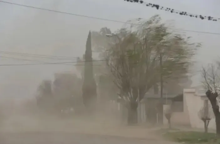 Captura de pantalla 2024-10-25 080004