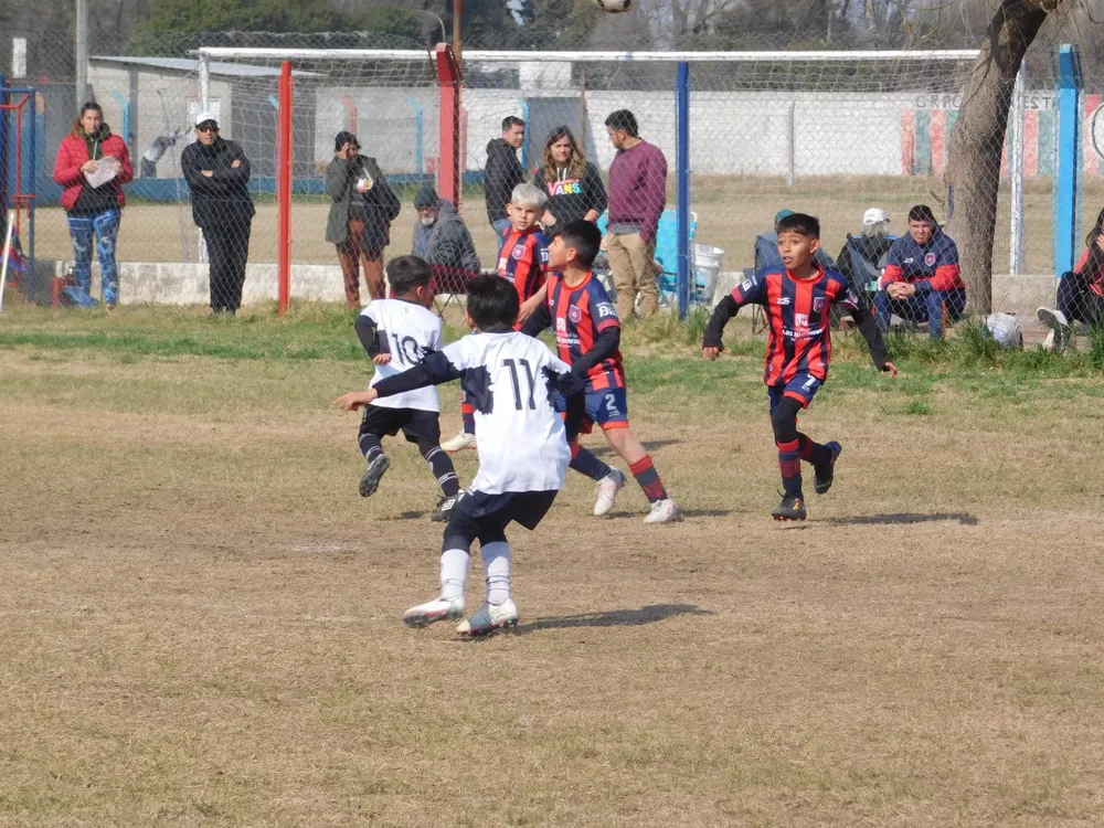 WhatsApp Image 2024-08-19 at 15.04.47 (23)