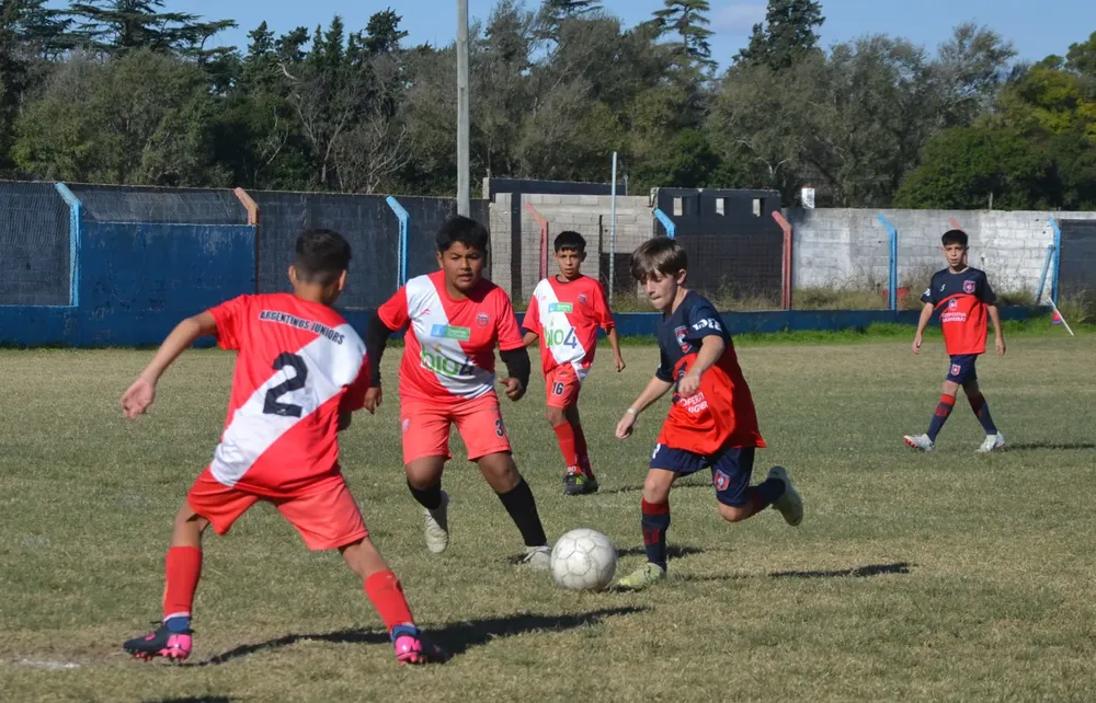 WhatsApp Image 2024-05-12 at 16.46.55