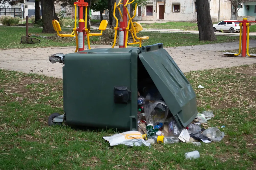 DAÑOS EN CESTOS (6)