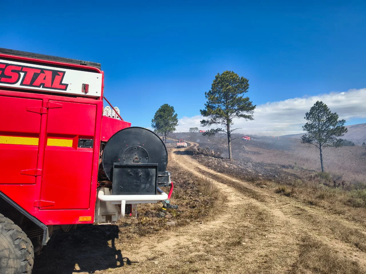 incendios forestales (2)