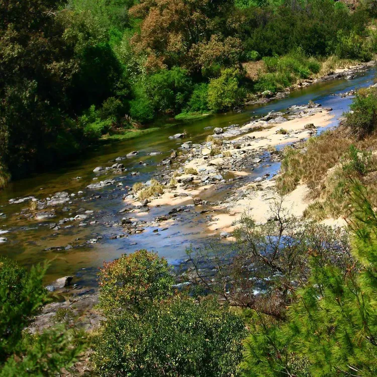 463745492_7707839545986118_4050165180954455923_n