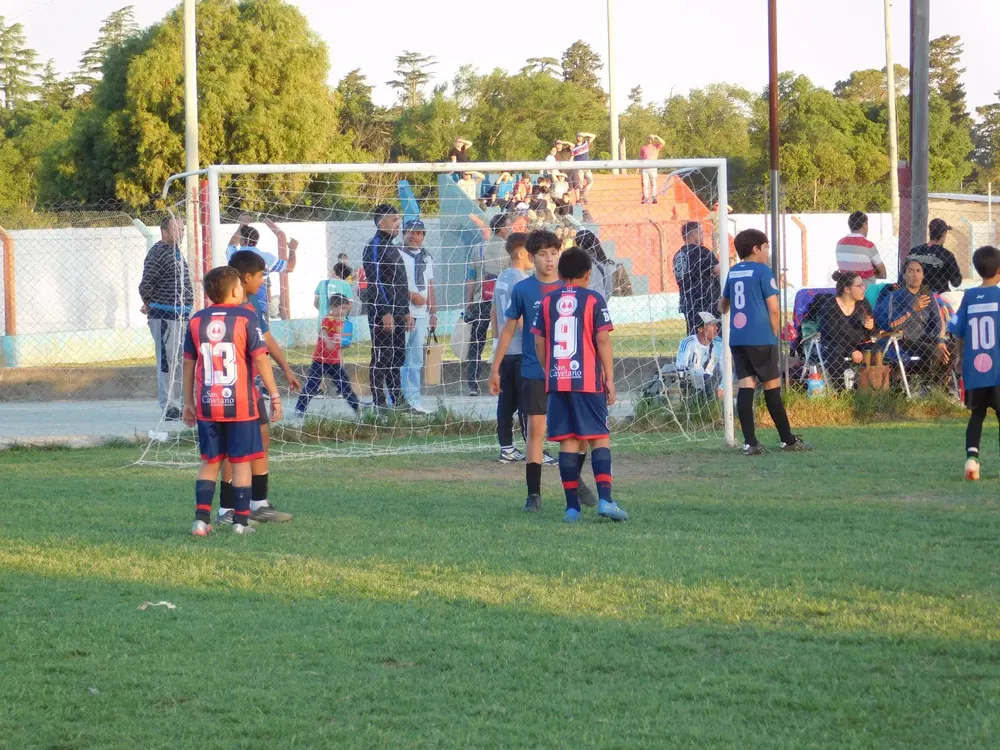 WhatsApp Image 2024-11-04 at 19.18.50