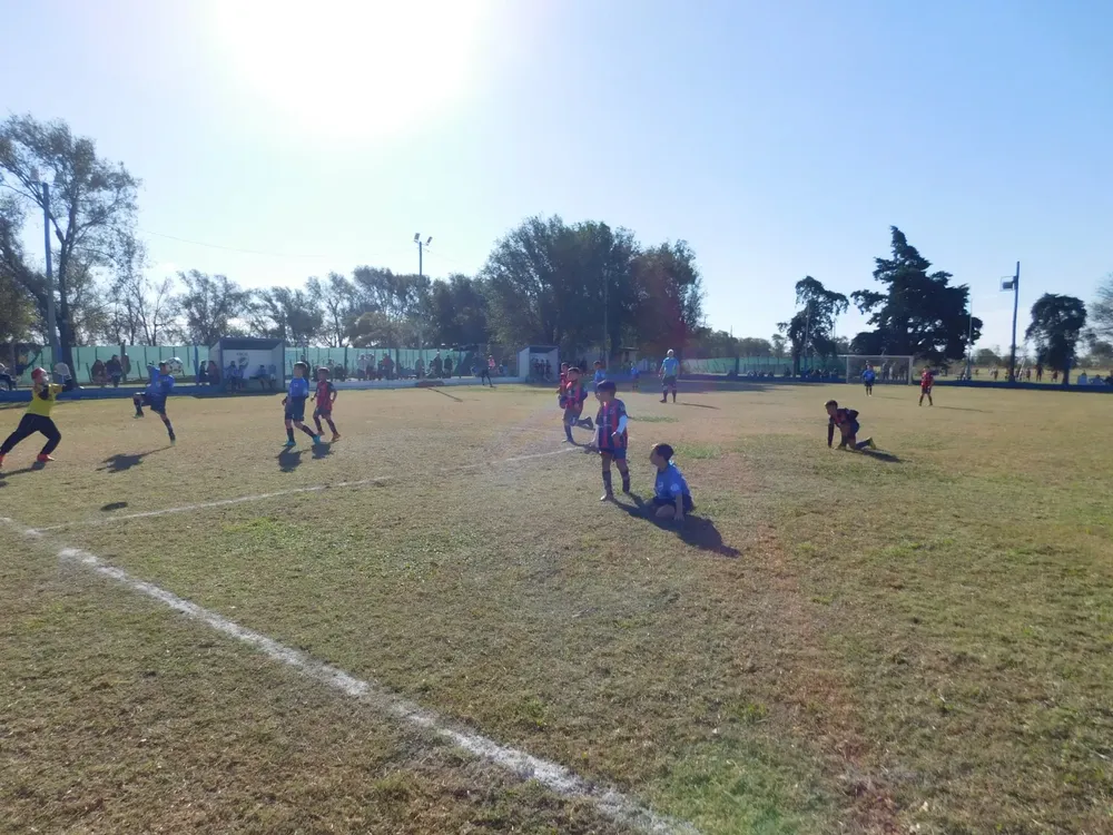 WhatsApp Image 2024-05-12 at 19.32.43