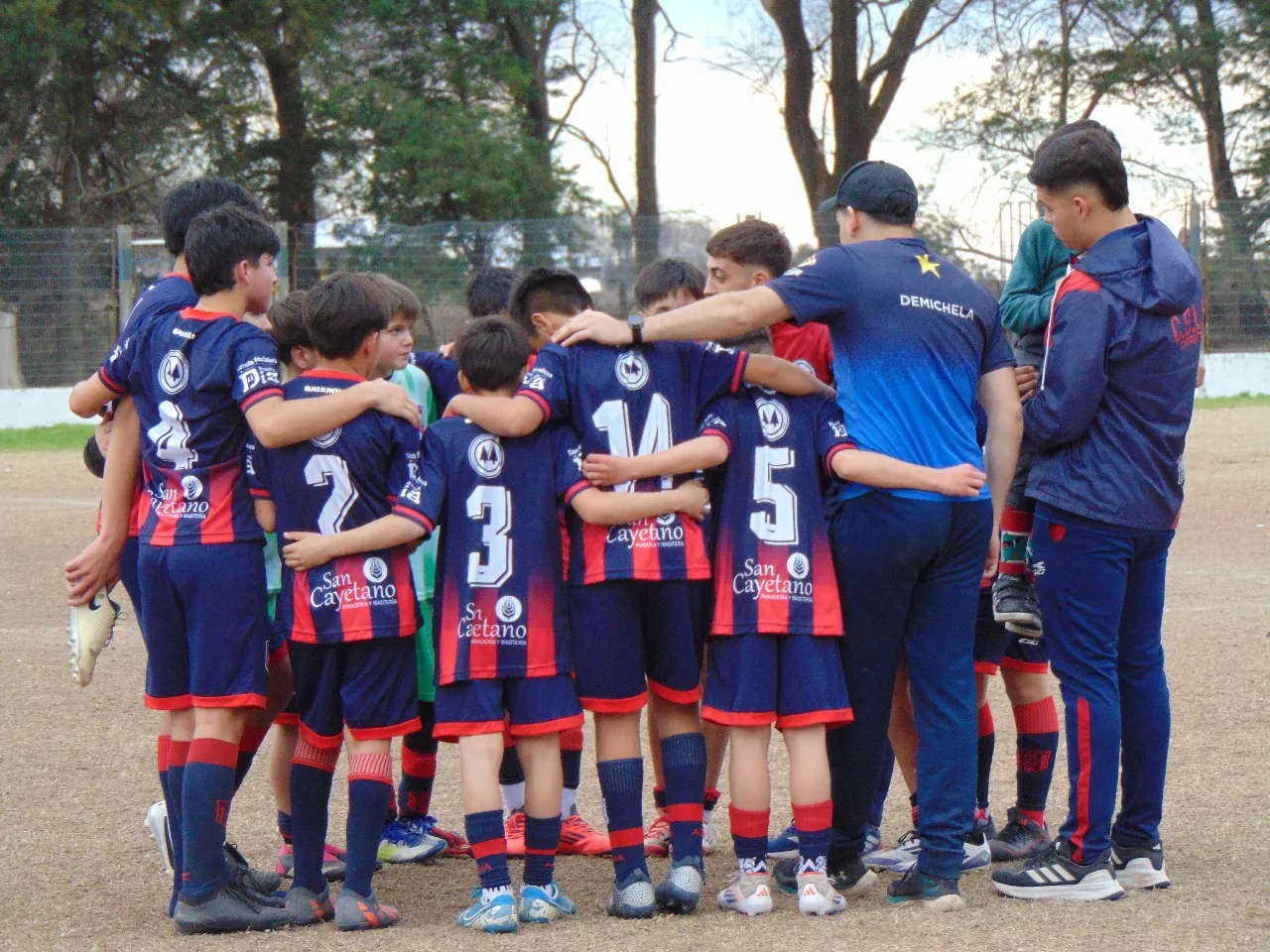 d98f0e9f0fe04ea6ab6deed69f2feddb