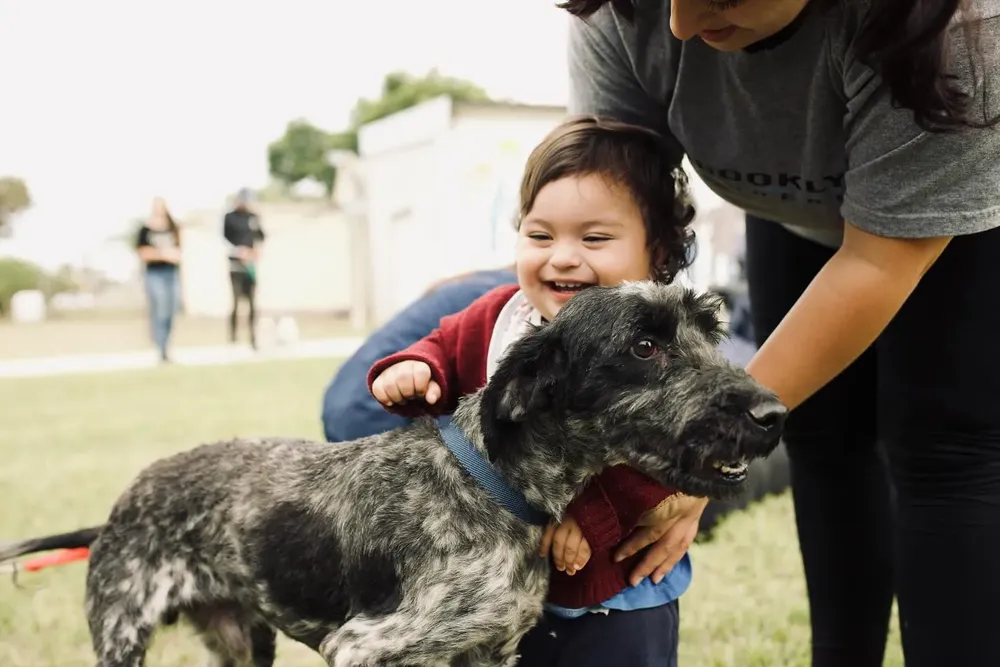 ADOPCIÓN RESPONSABLE (7)