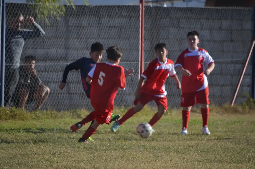 Centro Social Sp Municipal Confraternidad Infanto Juvenil (86)