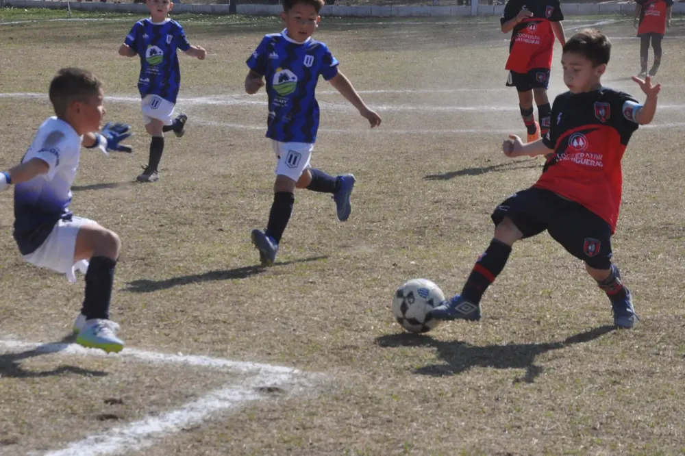Centro Social Infanto Juvenil Renato Cesarini Olaeta Socialeritas (269)