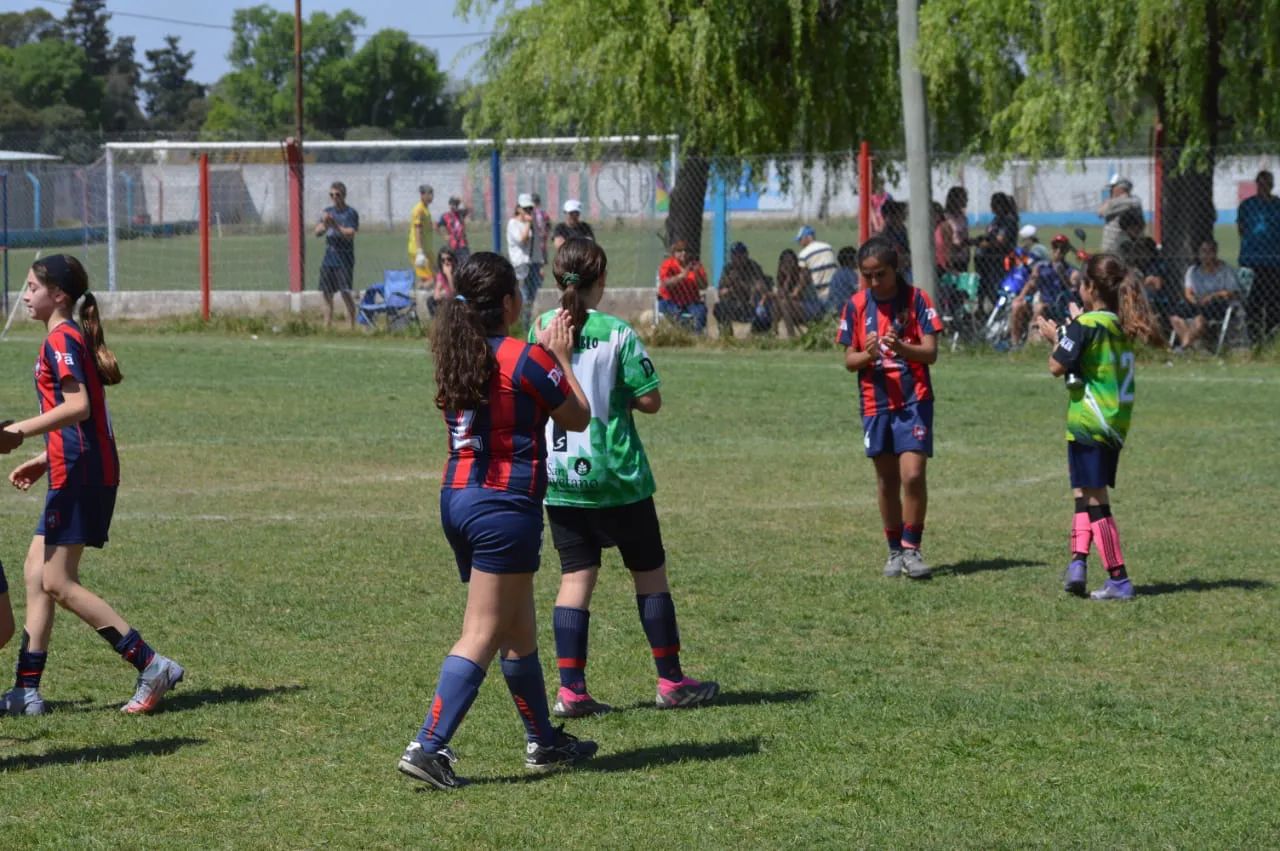 WhatsApp Image 2024-09-28 at 14.26.39 (2)