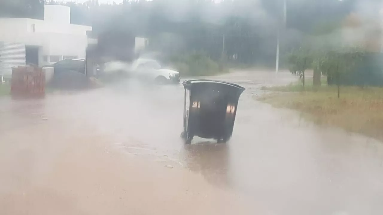 WhatsApp Image 2022-06-21 at 11.41.46 PM