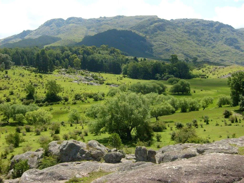 465017476_9231844733512269_7042852084296218145_n