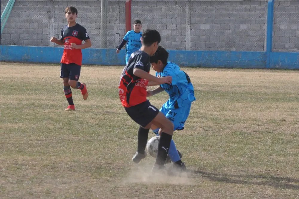 WhatsApp Image 2023-07-02 at 13.33.40 (15)