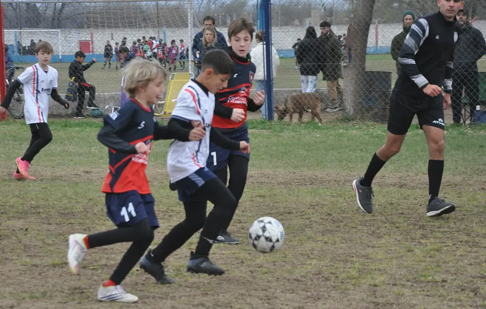 Centro Social Infanto Juvenil vs Social Recreativo Fusion (91)
