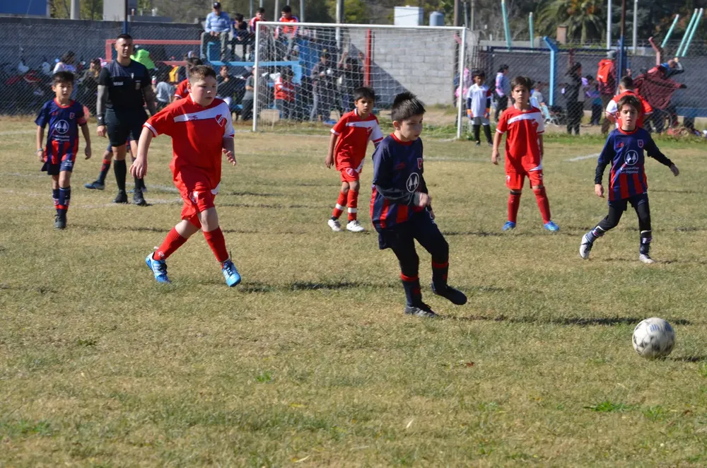 Centro Social Sp Municipal Confraternidad Infanto Juvenil (37)