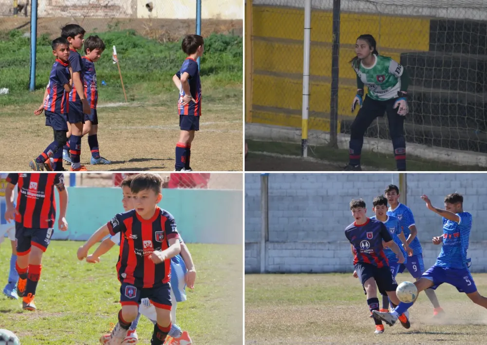 WhatsApp Image 2024-08-12 at 18.26.50