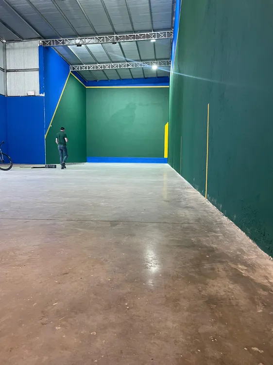 Pelota a paleta