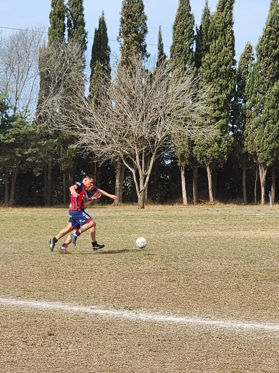 WhatsApp Image 2024-08-11 at 12.41.09