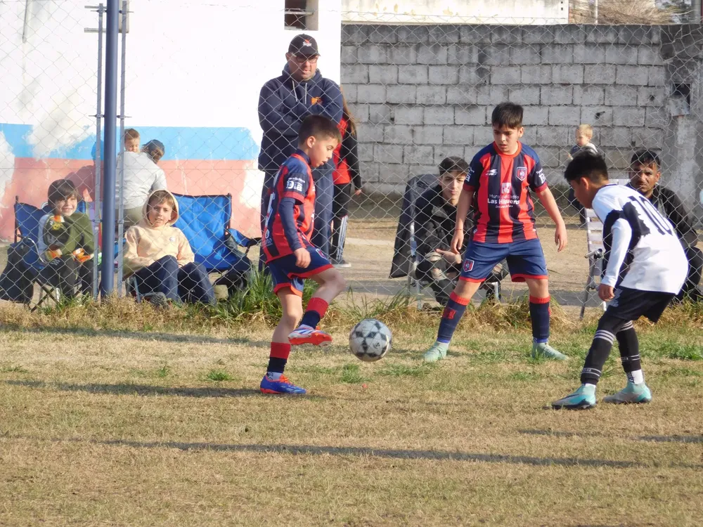 WhatsApp Image 2024-08-19 at 15.04.47 (4)