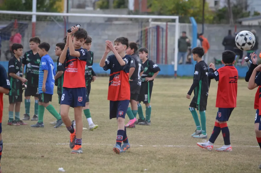 Centro Social Infanto Everton Banda Norte Socialeritas (45)