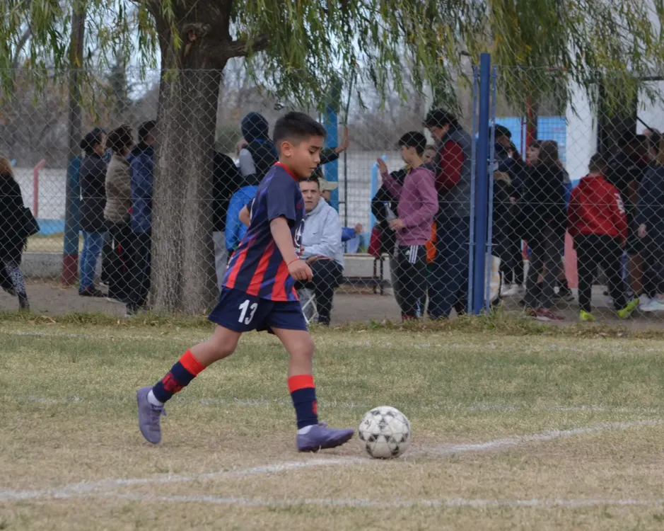 Centro Social Infanto Everton Banda Norte Socialeritas (52)