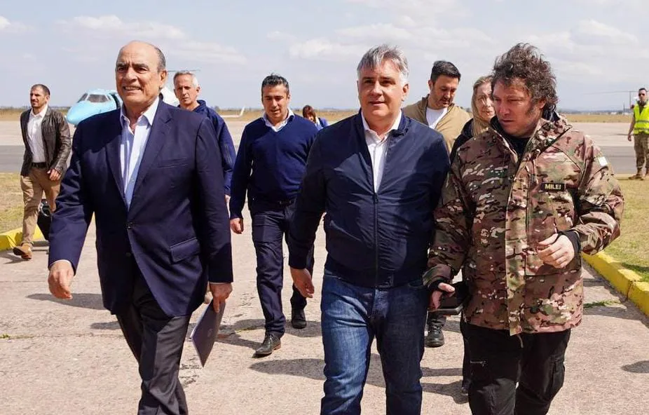 WhatsApp Image 2024-09-25 at 17.50.20