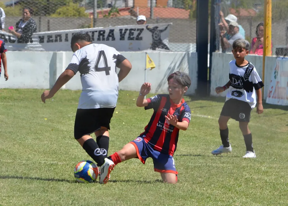 WhatsApp Image 2025-11-08 at 20.54.09 (6)