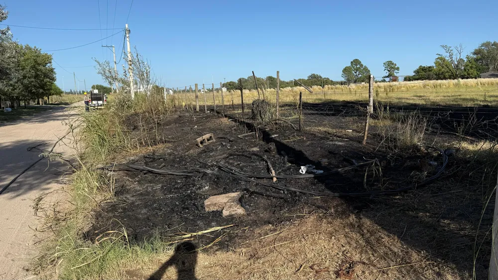 WhatsApp Image 2026-01-05 at 08.35.34 (1)