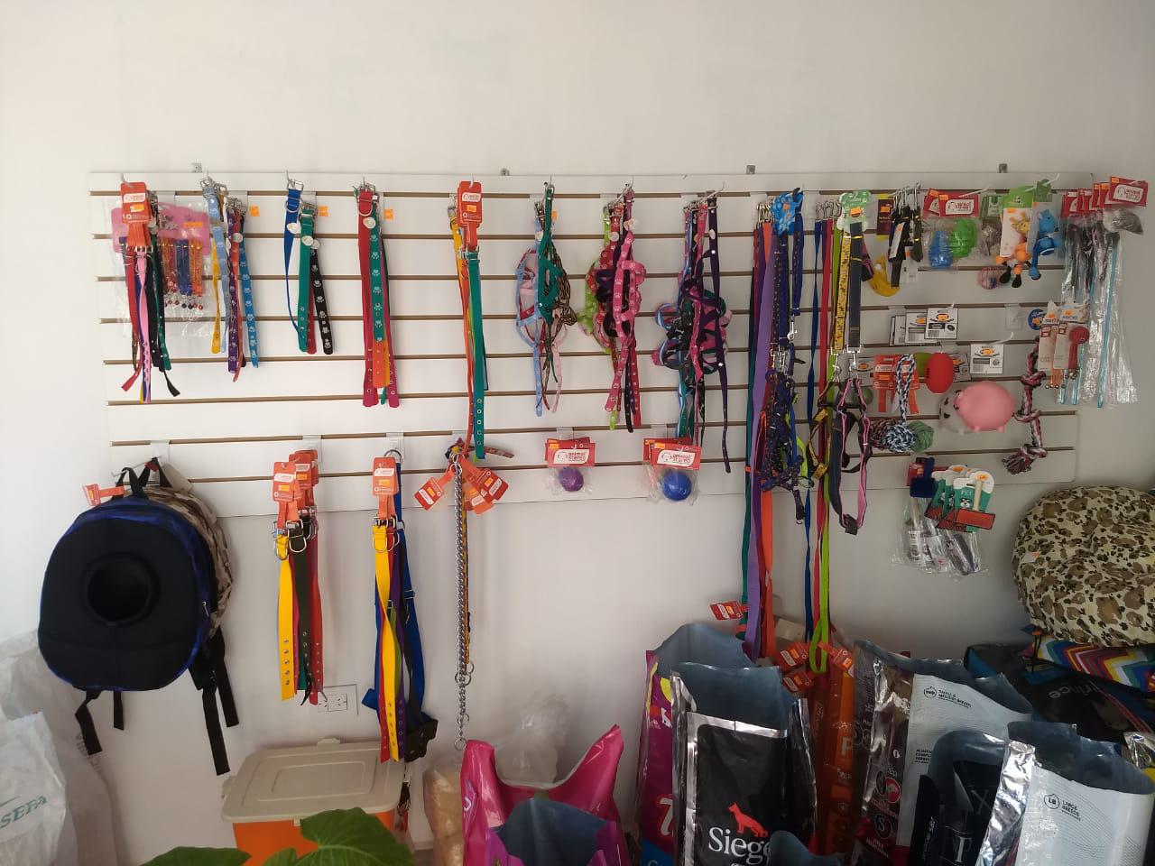 NICOLÁS VETERINARIA (2)