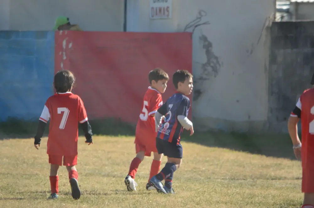 Centro Social Sp Municipal Confraternidad Infanto Juvenil (17)