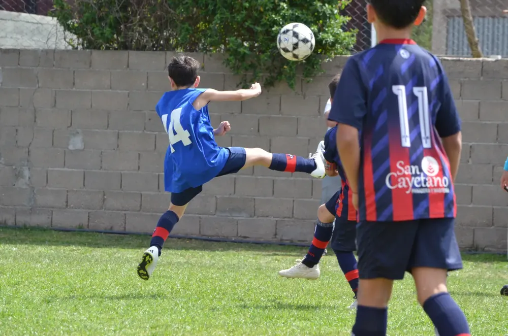 WhatsApp Image 2024-09-29 at 12.50.51