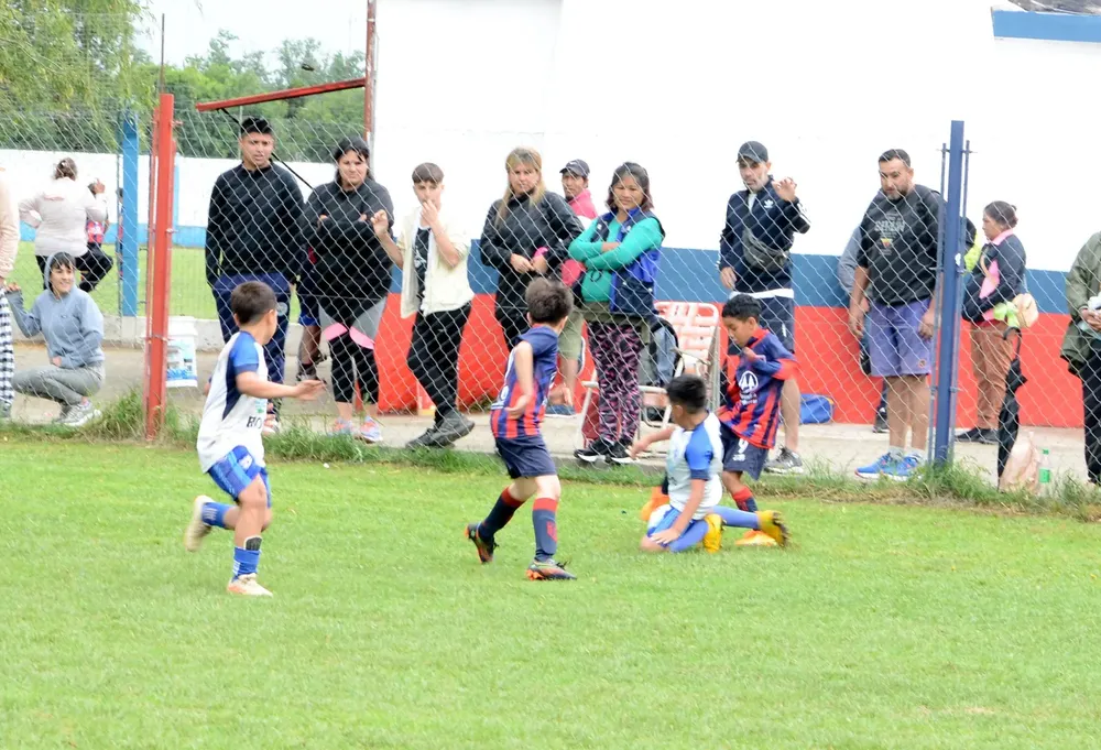 WhatsApp Image 2024-11-04 at 19.37.06