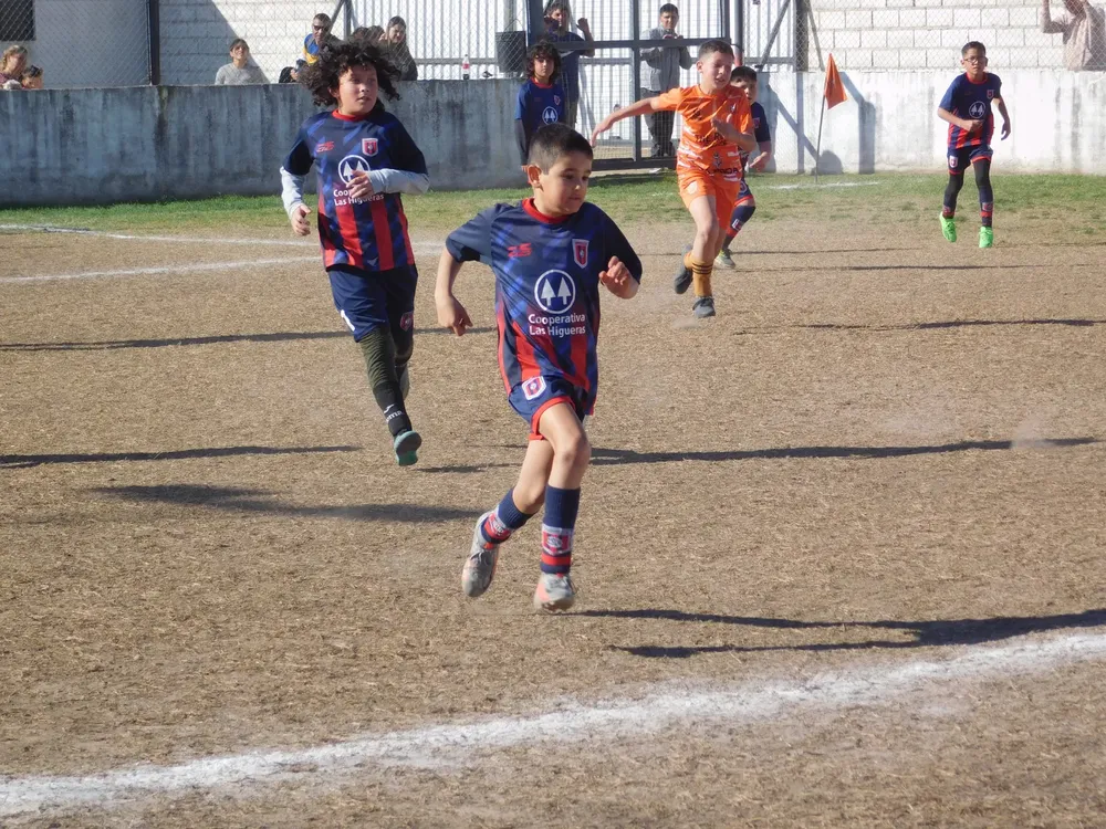 Centro Social Infanto Juvenil Renato Cesarini Olaeta Socialeritas (203)